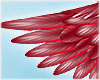 Red Valentine Wings