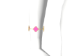 3 VanCf Pink 1 R