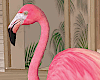 Pink Beach Flamingo