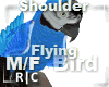 R|C Bird Blue M/F