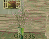 [Gio]SWEET PLANT