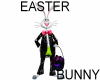 Eatser Bunny Animated