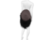 Korla Tail V1