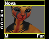 Nova Thicc Fur M