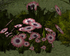 BaN-Flowers 1