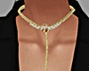 Necklace  TS_