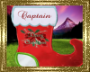 ~D~ Captain Stocking