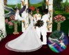 Hayley~Wafik Wedding 2