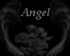 Angels Custom Tat