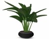 Medium Potted Plant # 2