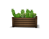Cactus Planter Box