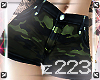 !223!RLL.Camo