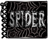 [SPIDER]