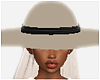 Sun Shade
