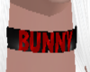 [FS] Bunny 1