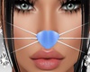 Bunny Whiskers B