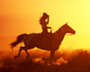 Framed Cowboy in Sunset