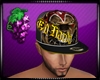 WG)EdHardy New Era Hat