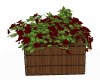 RED PANSY PLANTER