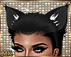 MK Cat Ears