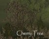 AV Cherry Tree