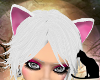 *SK* Cat Ears White Pink