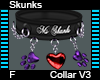 Skunks Collar F V3