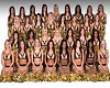 New Orleans Saintsations
