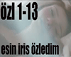 ESIN IRIS ÖZLEDIM