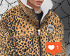 Leo's Coat
