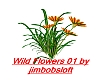 Wild Flowers 01