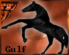 (K) Gulf Bedouin Horse/B