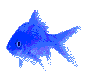 Animated Blue Fish