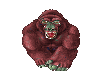 Angry Ape