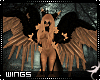 !F:Zane: Wings