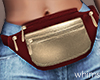 Give!  Fanny Pack