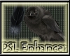 PSL Bird & Feather En