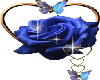 (G) Blue rose