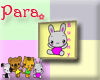 Para! CF Bunny Picture