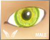 [Sc] Male Apple Eye