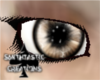 [ST] Cream Dust Eye