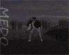 Spooky Spot