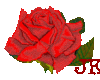 Animated Red Rose 08