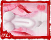 {FL}Amoreh Kini