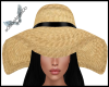 B/Beach Hat