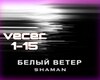SHAMAN_belyi vecer