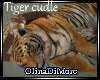 (OD) Tiger cudle