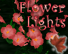 mac.FlowerLights Red