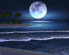 [kk] Night Beach