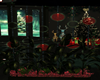 Christmas Home Plants